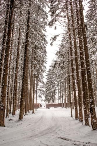 Outdoor Pictures 9