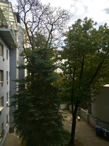 Outdoor Pictures 19