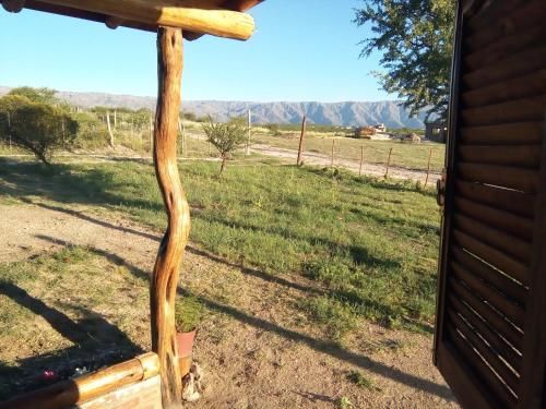 Outdoor Pictures 10