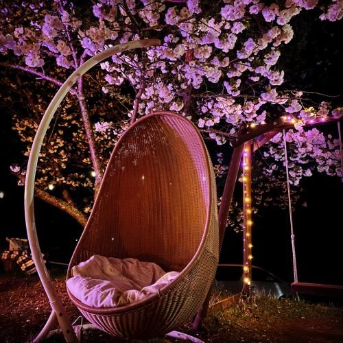Outdoor Pictures 11