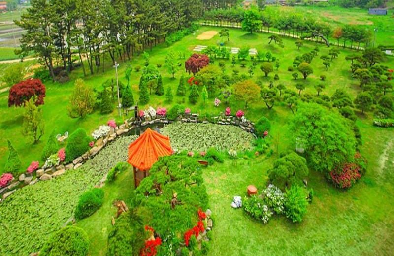 Taean The Namu Pension