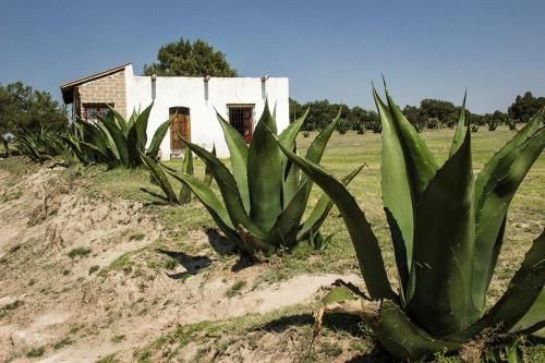 Hacienda Tenexac