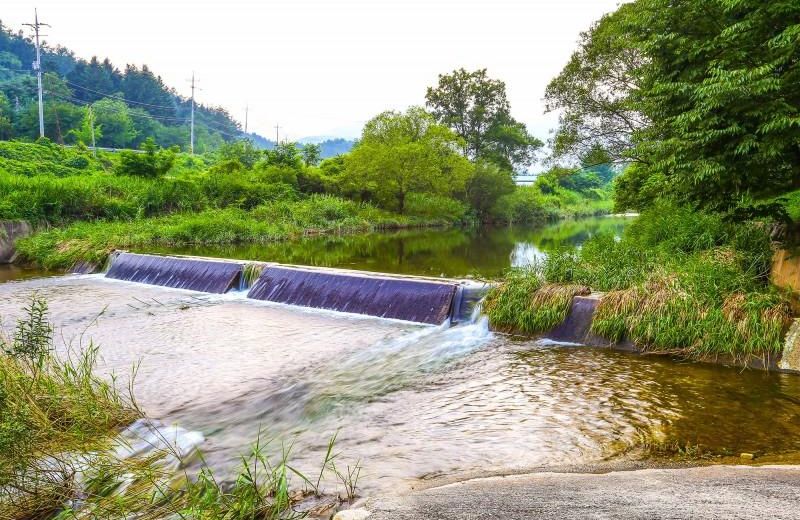 Yangpyeong Log Camp Pension