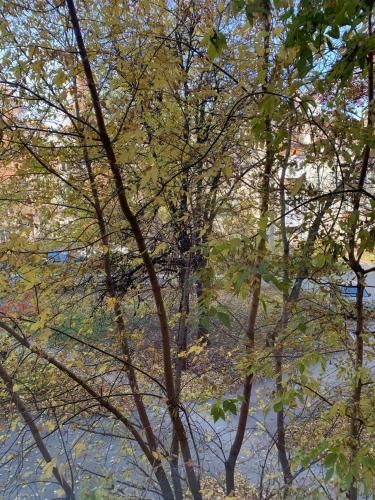 Outdoor Pictures 4