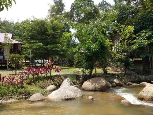 Outdoor Pictures 1