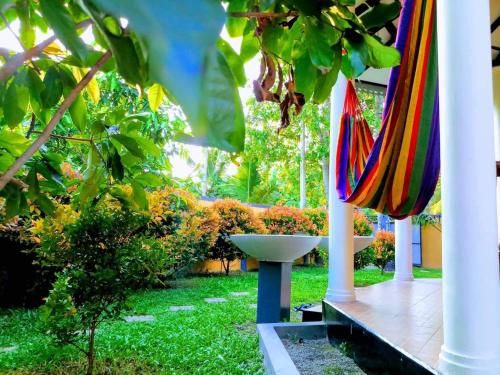 Outdoor Pictures 5