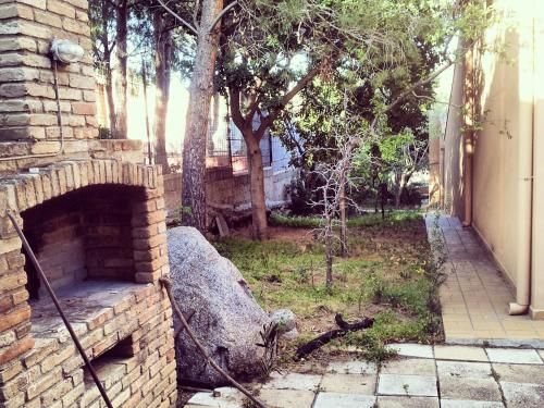 Outdoor Pictures 7