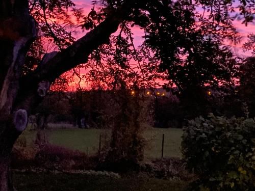 Outdoor Pictures 4