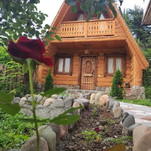 Outdoor Pictures 8