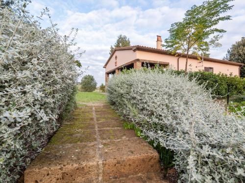 Cosy Holiday Home in Rispescia-Grosseto with Terrace