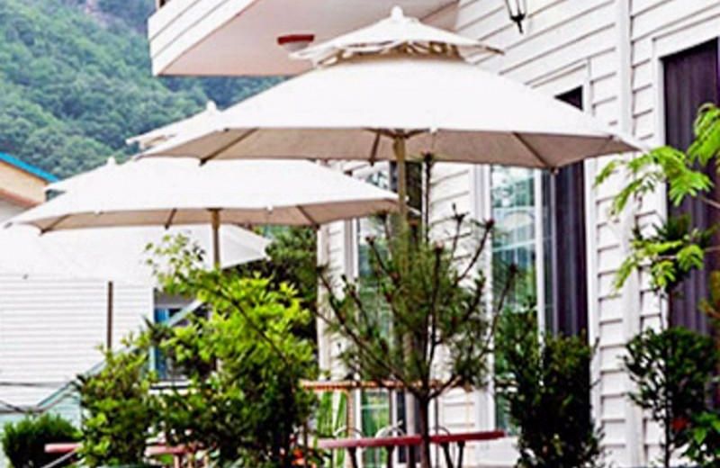 Pocheon Supsogui Hayanjip Pension