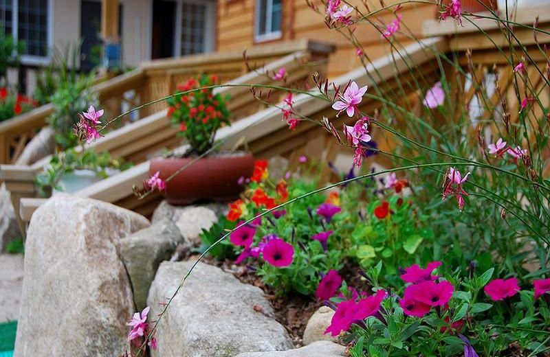 Pocheon Star Sky pension