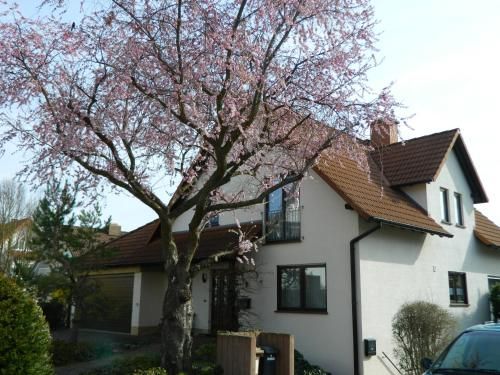 Ferienwohnung Kiko