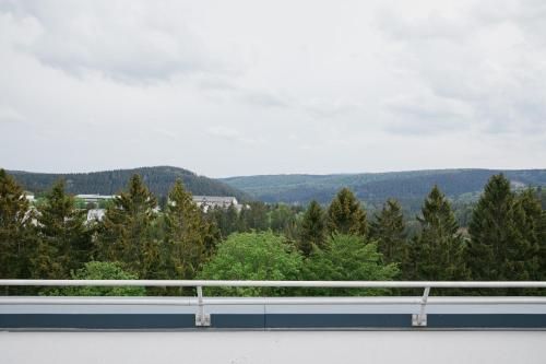 Outdoor Pictures 2