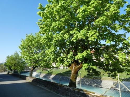 Outdoor Pictures 6