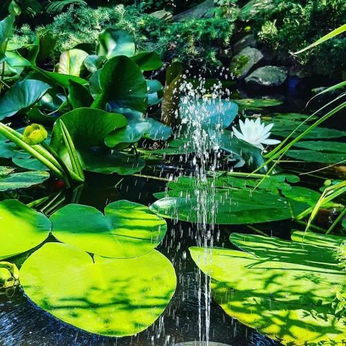 Outdoor Pictures 7