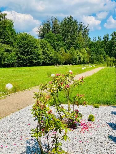 Outdoor Pictures 21