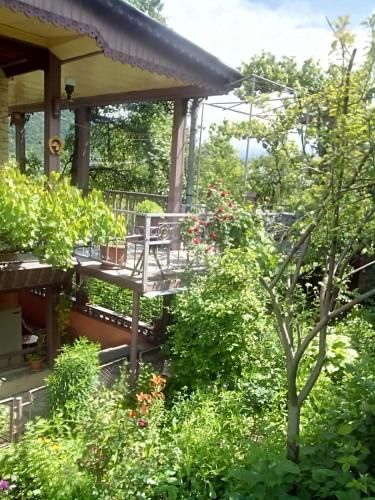Outdoor Pictures 21