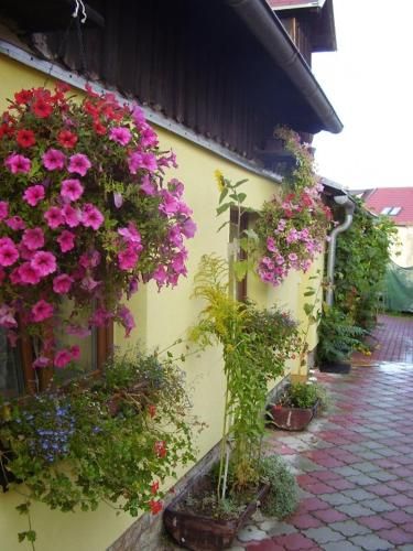 Outdoor Pictures 9