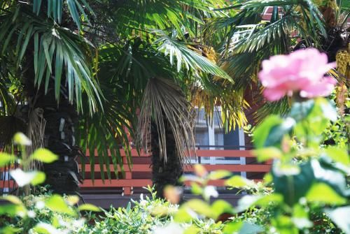 Outdoor Pictures 20