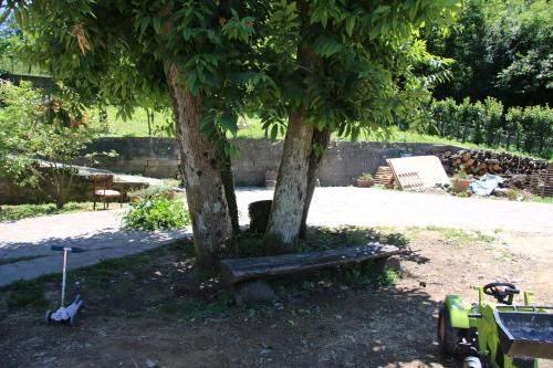 Outdoor Pictures 1