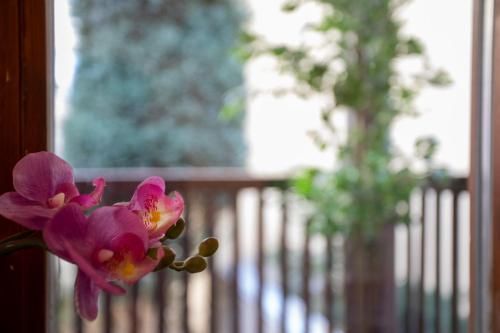Outdoor Pictures 15