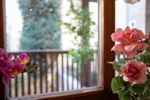 Outdoor Pictures 21