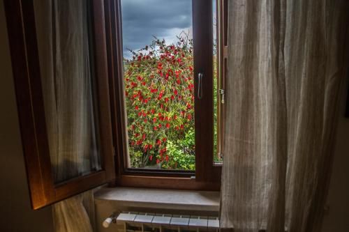 Outdoor Pictures 13