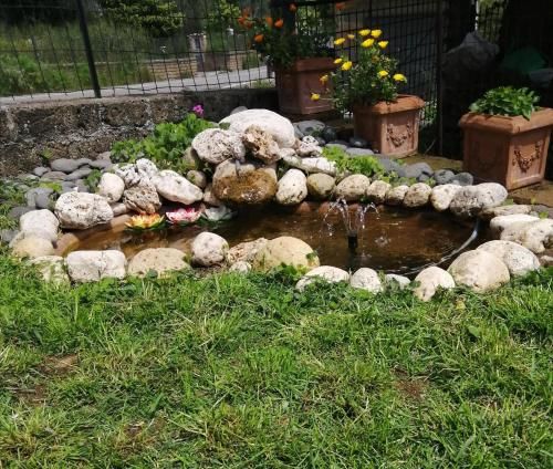 Outdoor Pictures 7