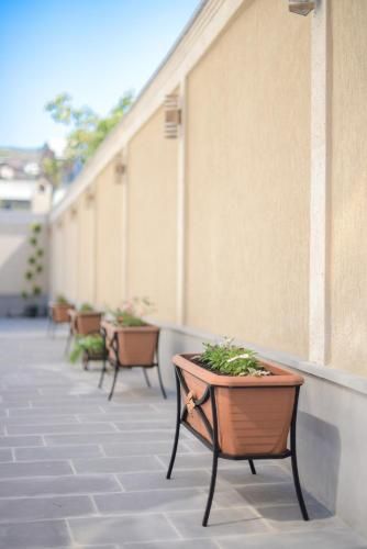 Outdoor Pictures 20