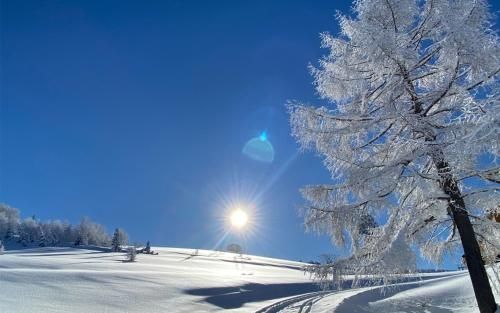 Outdoor Pictures 7