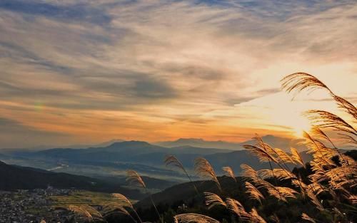 Outdoor Pictures 20