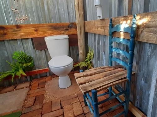 Outdoor Pictures 5