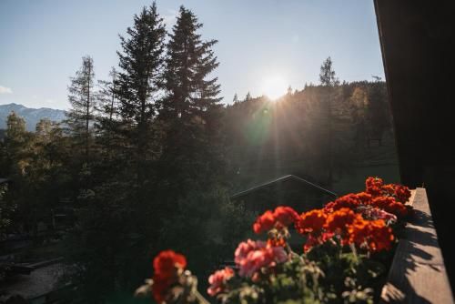 Outdoor Pictures 24