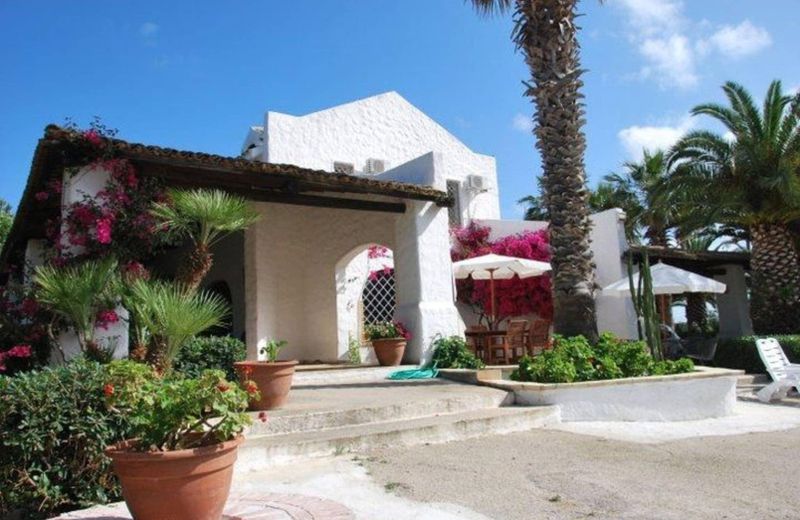The Holiday And Art Seahorse House