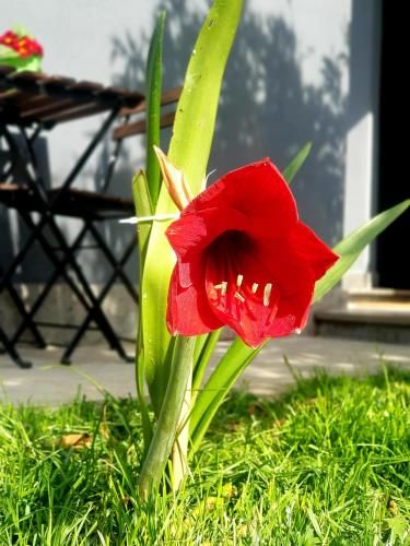 Outdoor Pictures 4
