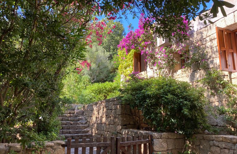 Casa Degli Olivastri-costa Smeralda 6 guest, 3 room, 2 bathroom, 2 parking Wifi