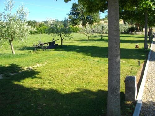 Outdoor Pictures 18