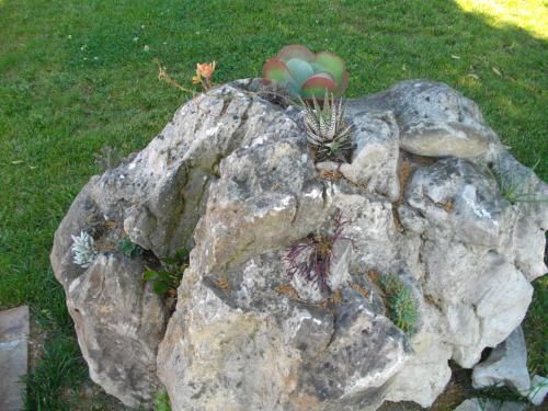 Outdoor Pictures 19