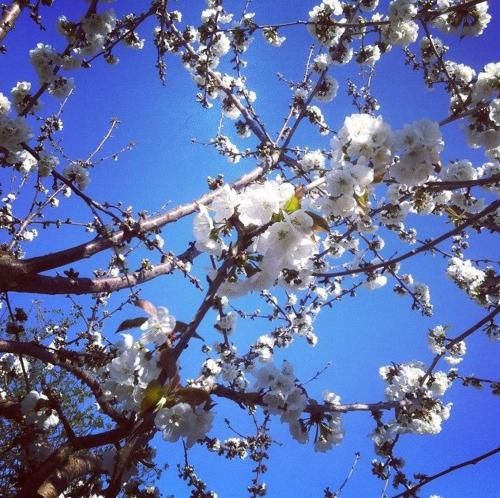 Outdoor Pictures 9