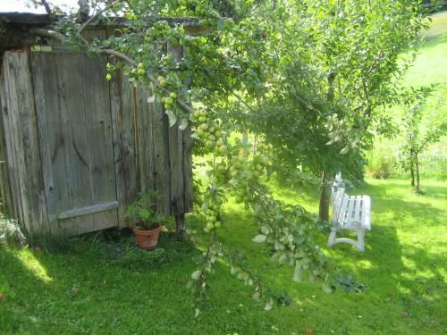 Outdoor Pictures 19