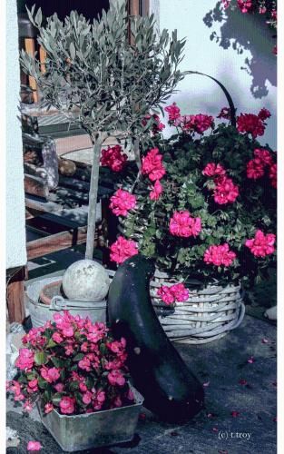 Outdoor Pictures 5