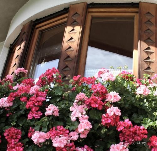 Outdoor Pictures 9