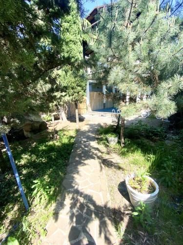 Outdoor Pictures 22