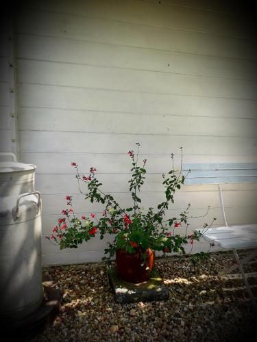 Outdoor Pictures 8