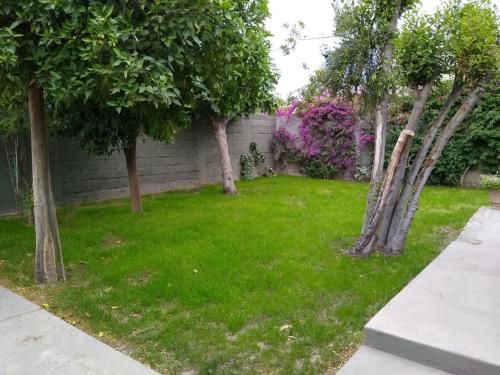 Outdoor Pictures 1