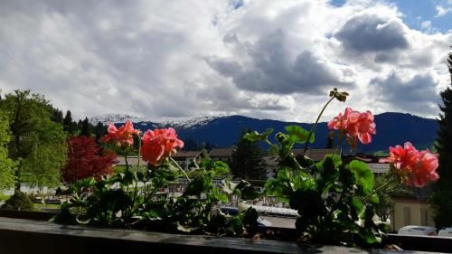 Outdoor Pictures 4