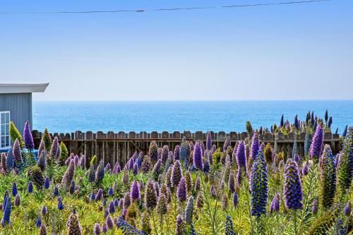 Outdoor Pictures 23