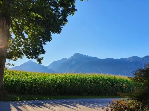 Outdoor Pictures 19