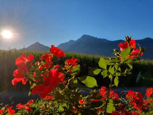 Outdoor Pictures 20